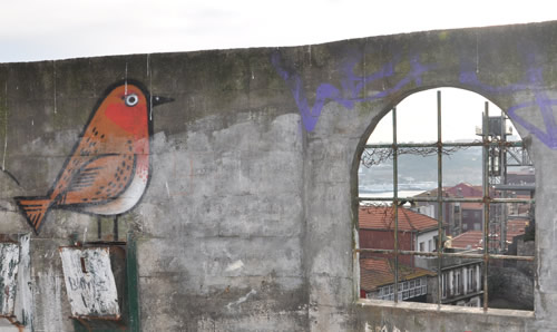 Porto: Vogel